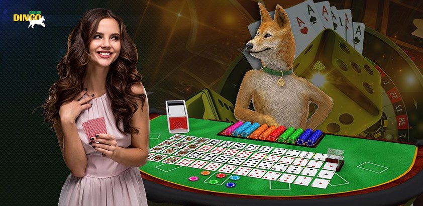 Pagpaparehistro sa Dingo Casino